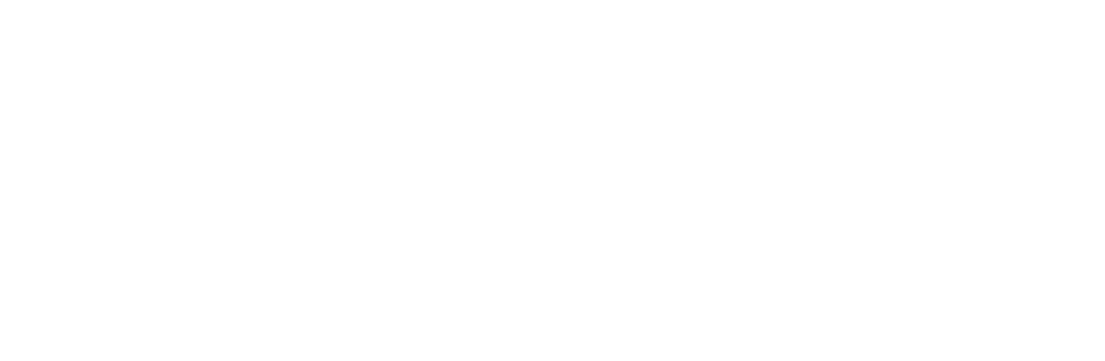 Madina White logo